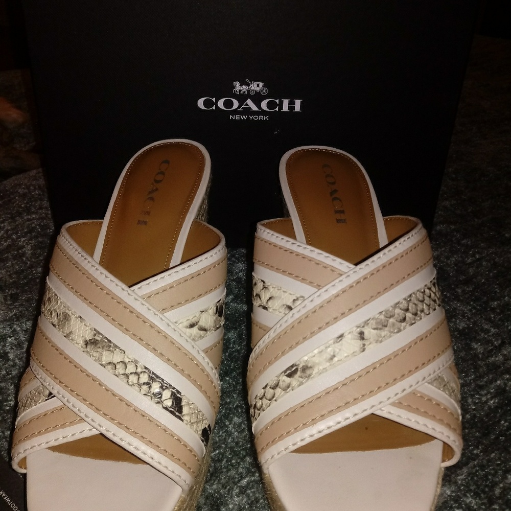 Coach shoes